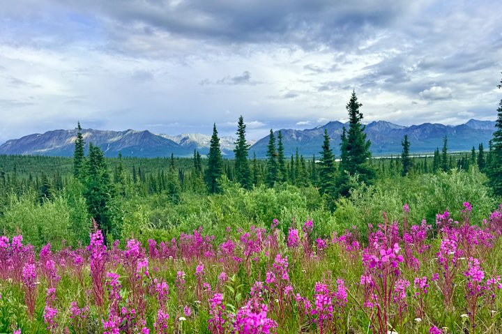Landscapes — original photo